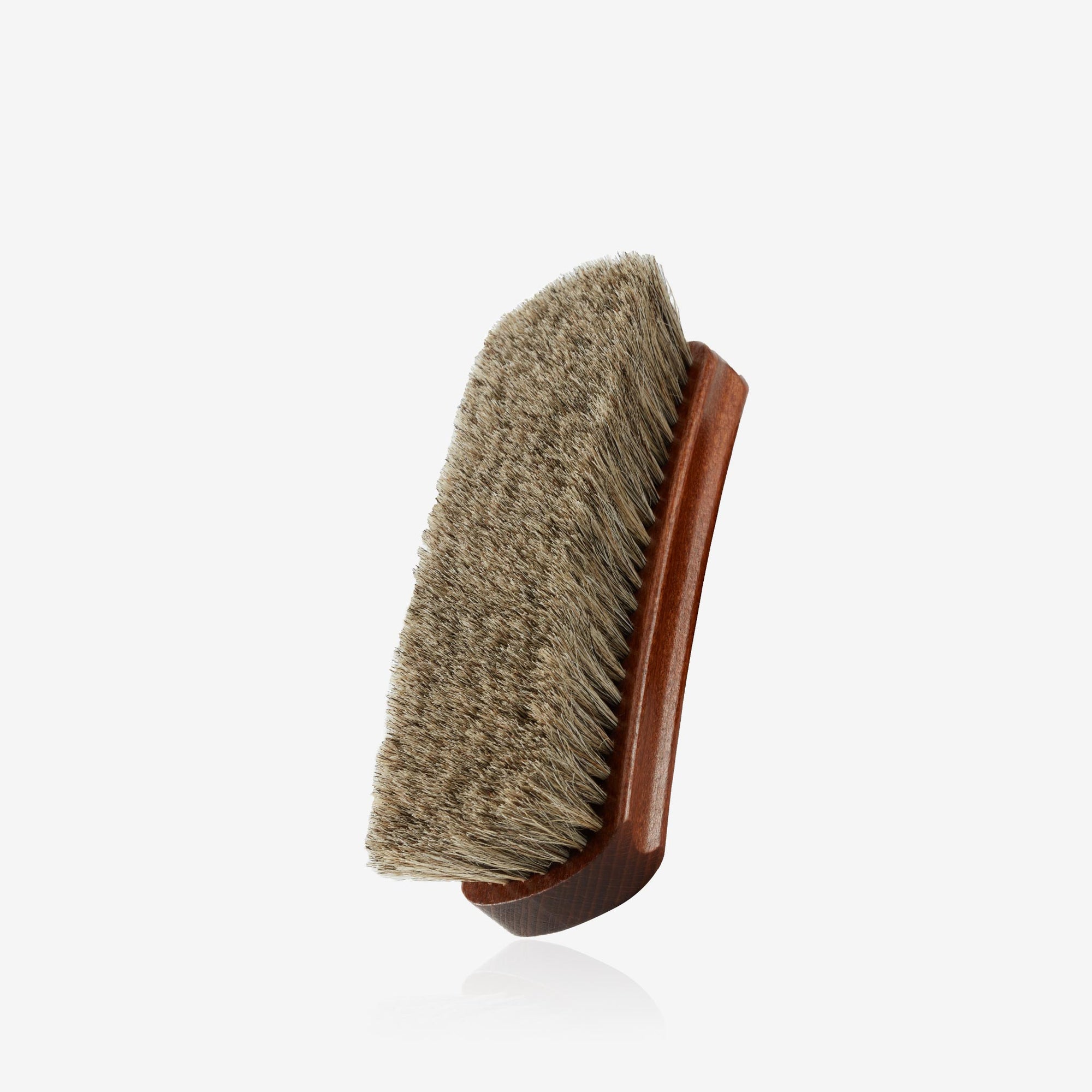 Polishing Brush